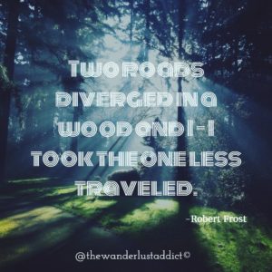 Two roads diverged in a wood and I – I took the one less traveled