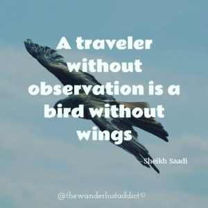 A traveler without observation is a bird without wings