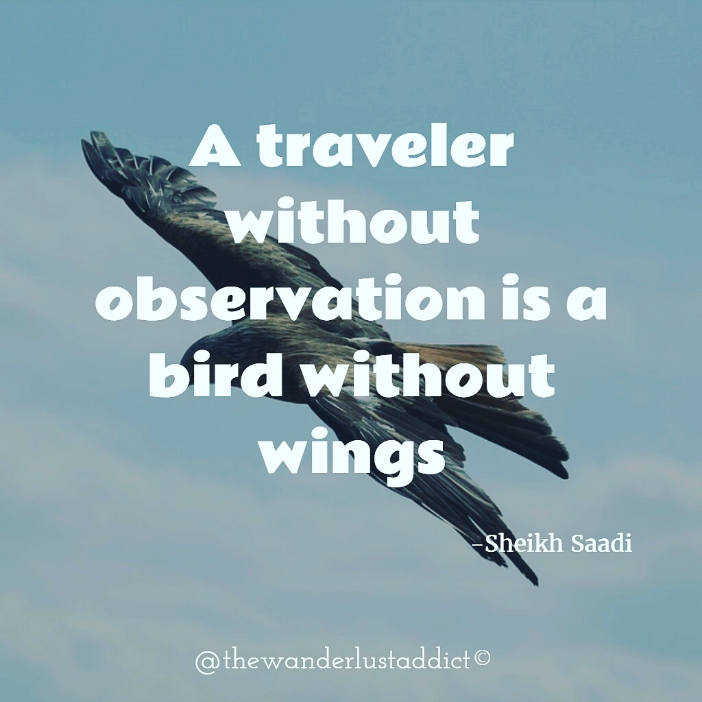A traveler without observation is a bird without wings